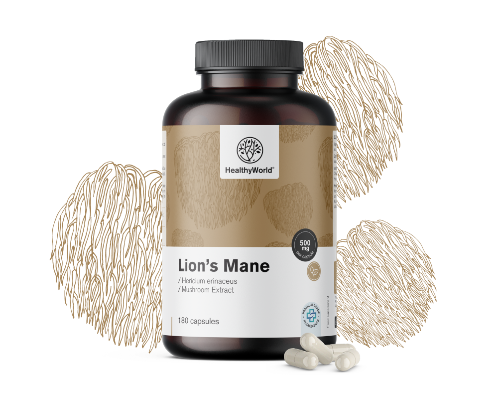 Süngomba (oroszlánsörény) – gomba