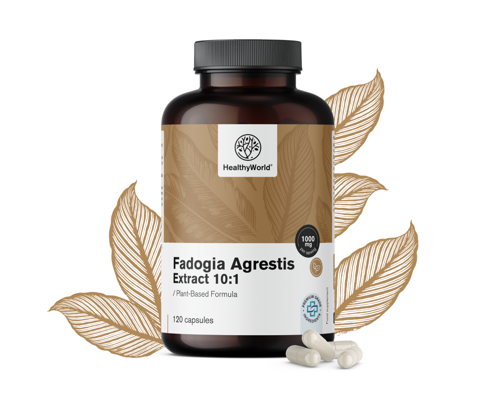 Fadogia Agrestis 1000 mg