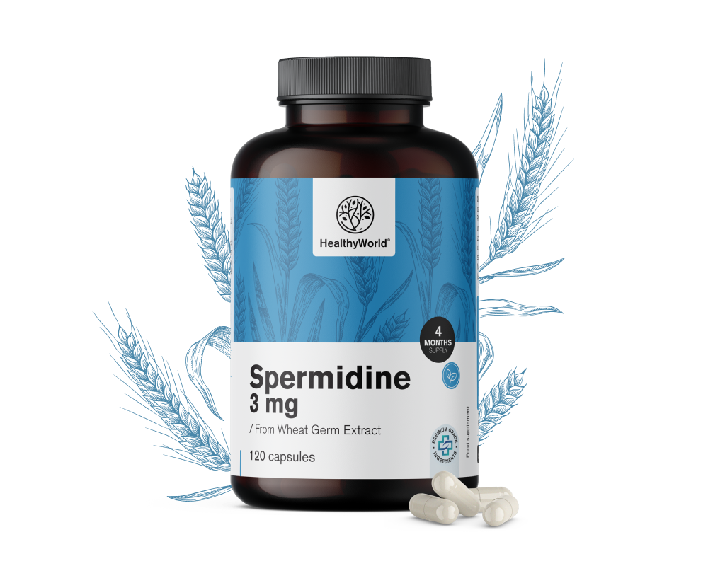 Spermidin 3 mg – búzacsíra kivonatból