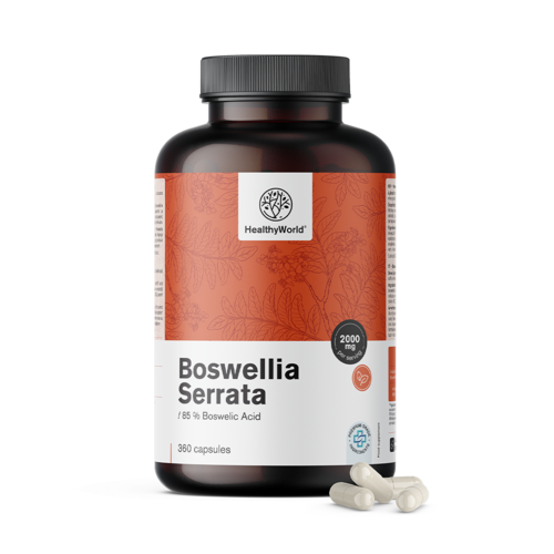 Boswellia (Boswellia Serrata) – 85% boswellia sav, 360 kapszula