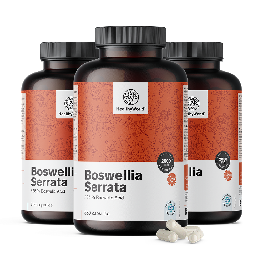 Boswellia (Boswellia Serrata) – 85 % boswellia sav