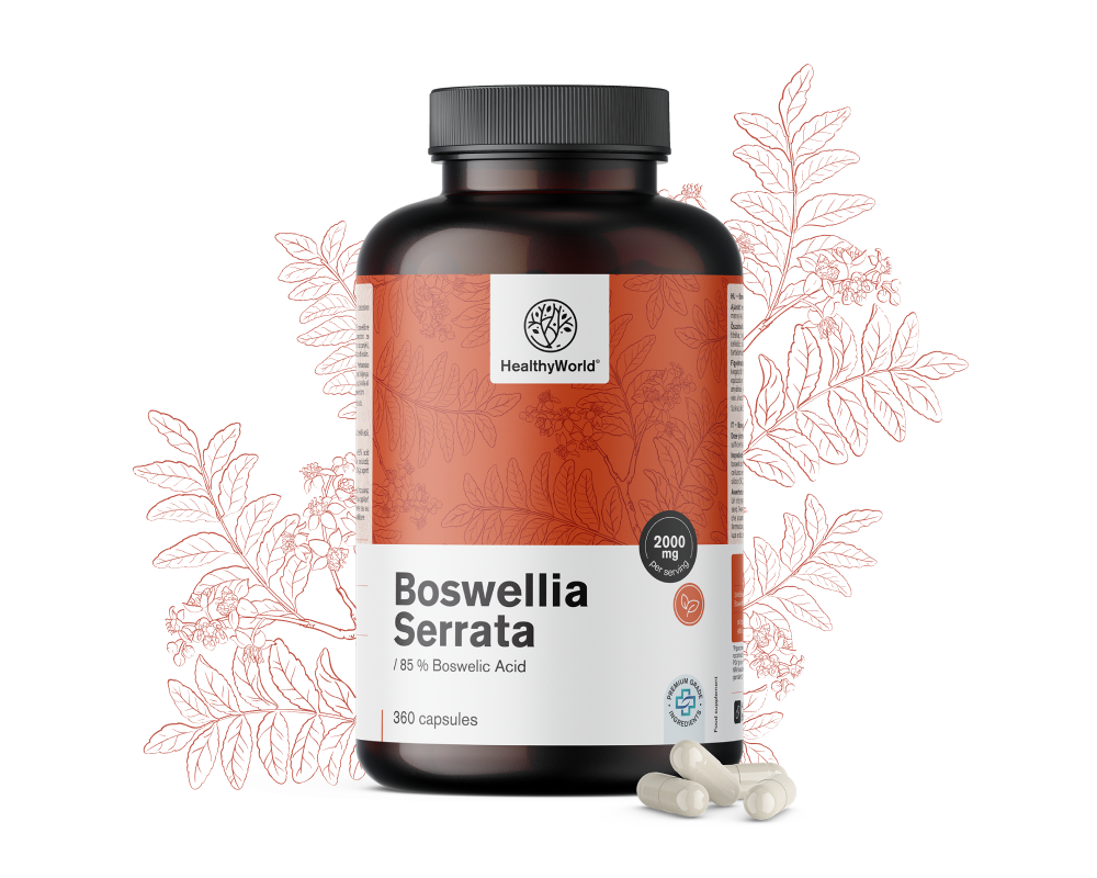 Boswellia (Boswellia Serrata) – 85 % boswellia sav